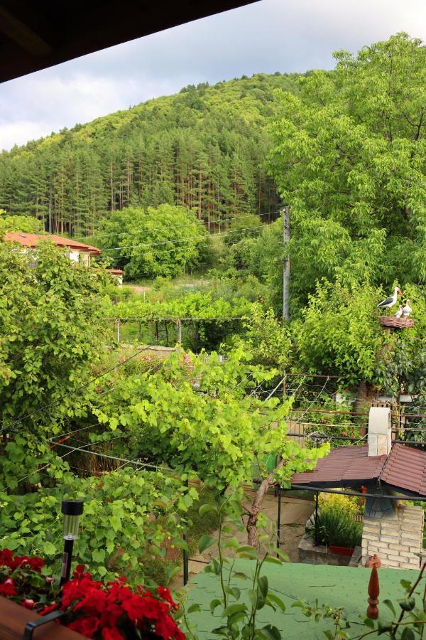 Green House - Попниколови Sapareva Banya Bagian luar foto