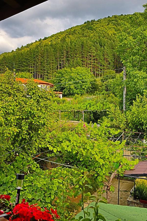 Green House - Попниколови Sapareva Banya Bagian luar foto